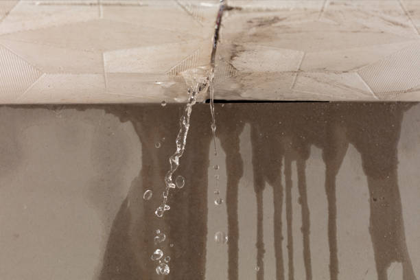 Professional Burst Pipe Cleanup technician working in Catskill, NY